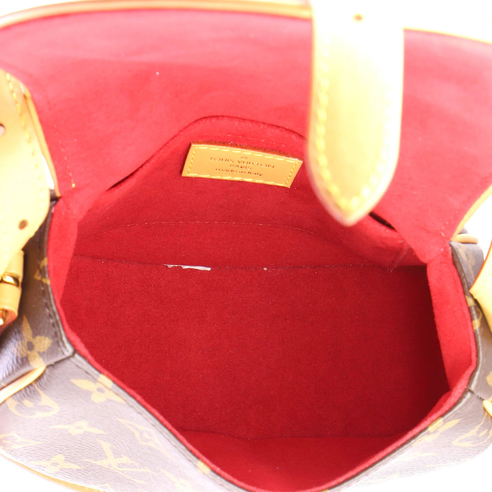 Tambourin NM Handbag Monogram Canvas - Image 5