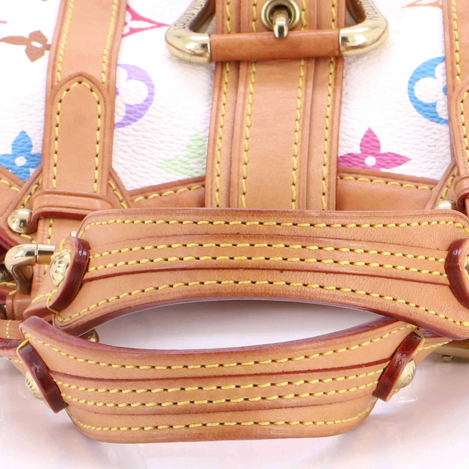 Theda Handbag Monogram Multicolor PM - Image 6