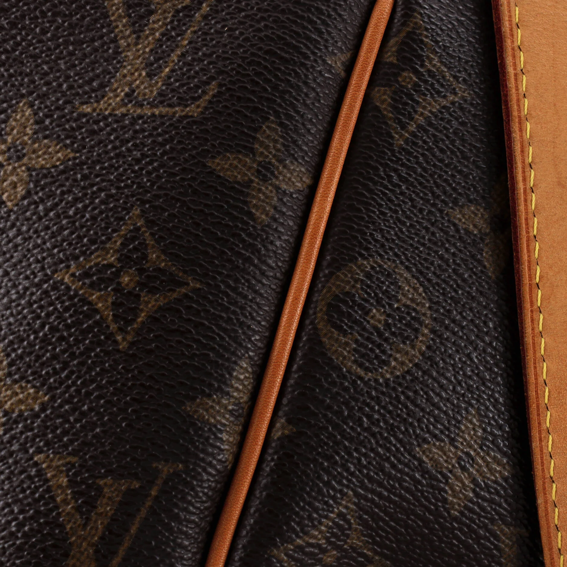 Totally Handbag Monogram Canvas PM - Image 6