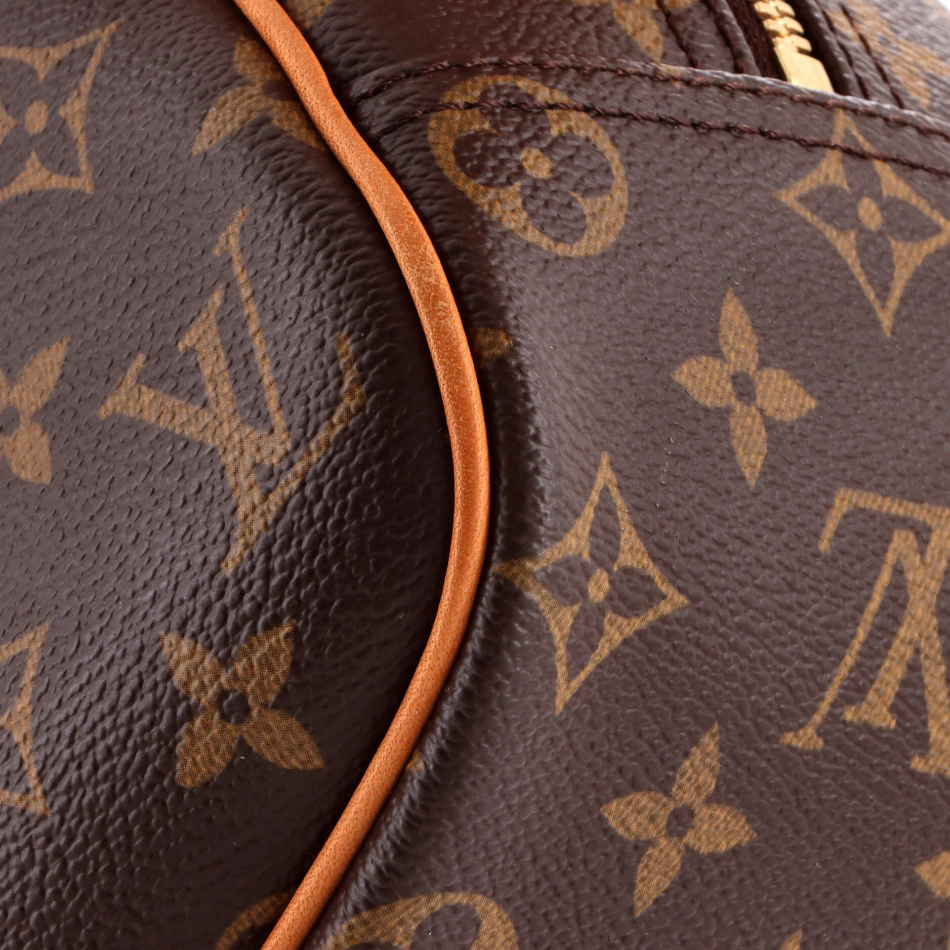 Trouville Handbag Monogram Canvas - Image 7