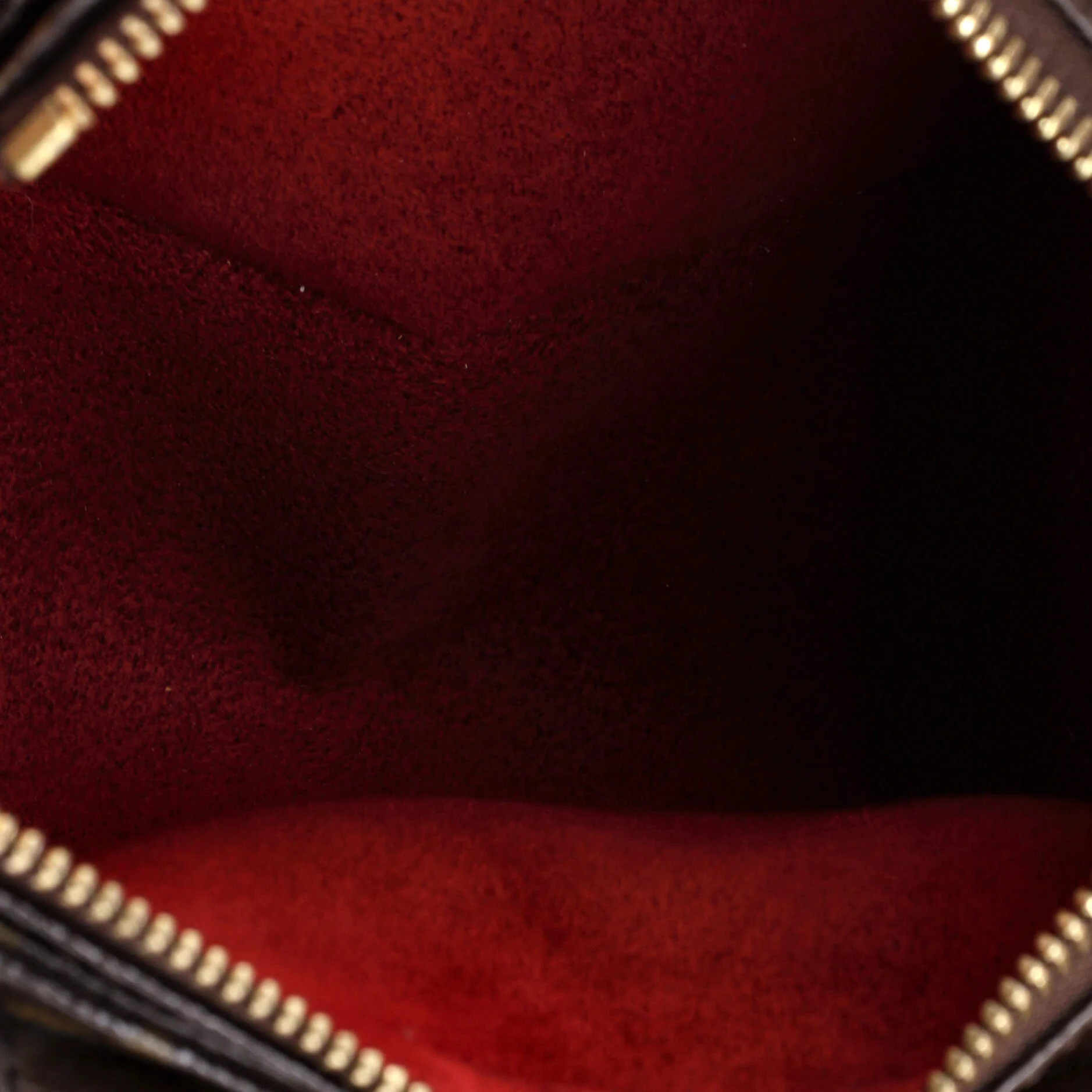 Viva Cite Handbag Monogram Canvas PM - Image 5