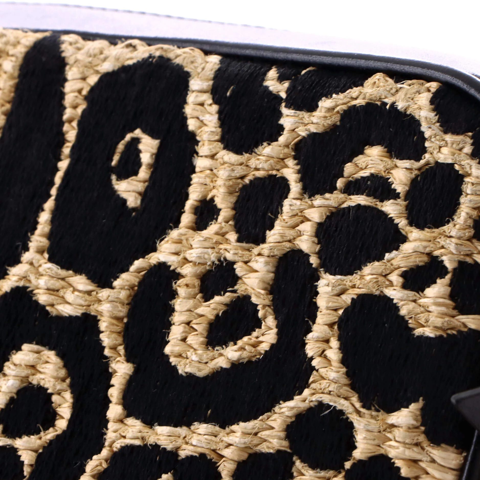 Lou Camera Bag Printed Raffia Small - Image 7