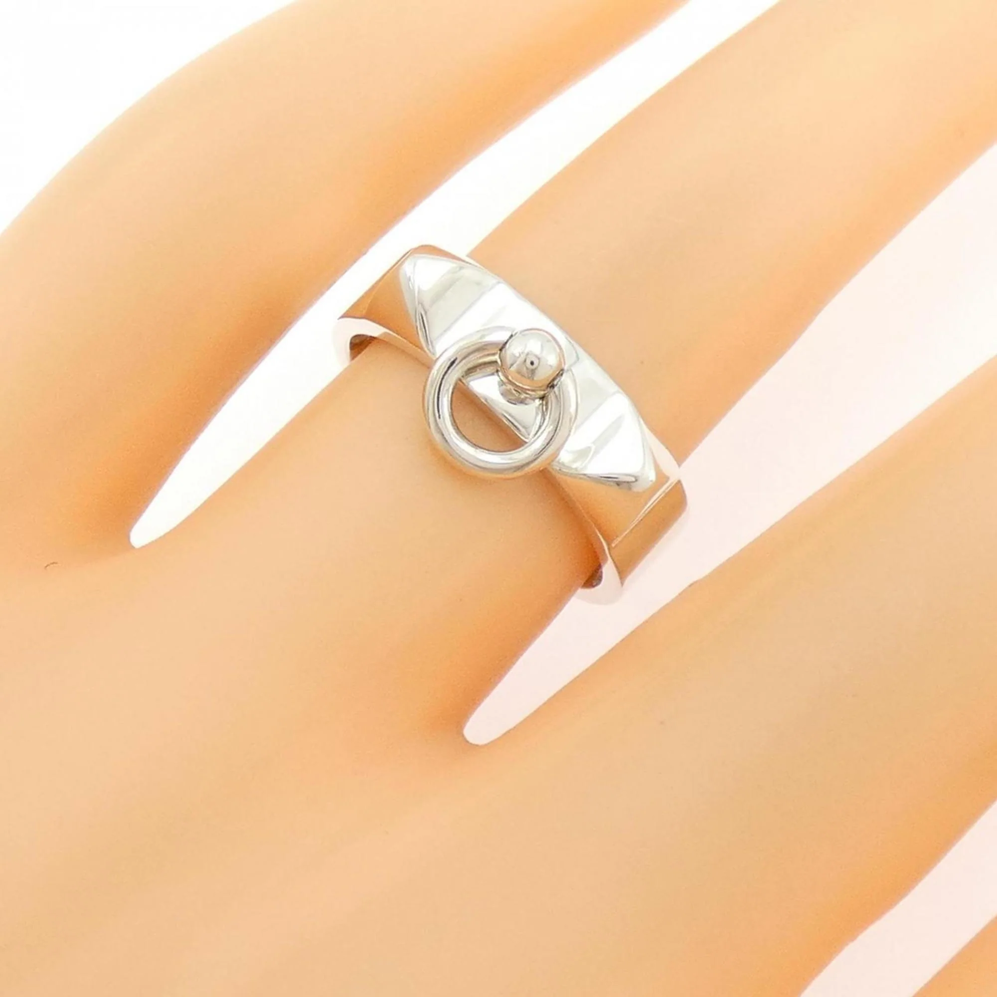 Collier de Chien Ring - Image 5